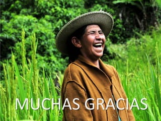 Experiencia del Centro Internacional de Agricultura Tropical (CIAT) en la comunicación pública de la ciencia a través de la web 2.0