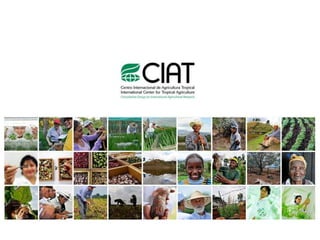 Experiencia del Centro Internacional de Agricultura Tropical (CIAT) en la comunicación pública de la ciencia a través de la web 2.0