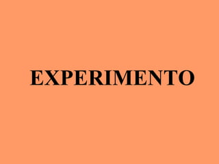 EXPERIMENTO 