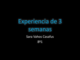 Experiencia de 3
semanas
Sara Vahos Casafus
8º1
 