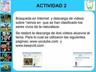 Búsqueda en Internet  y descarga de videos  sobre “reinos en  que se han clasificado los seres vivos de la naturaleza.  Se realizó la descarga de dos videos alusivos al tema. Para lo cual se utilizaron las siguientes  páginas: www.youtube.com  y  www.keepvid.com ACTIVIDAD 2 
