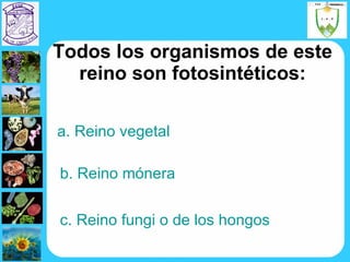 Todos los organismos de este reino son fotosintéticos: a. Reino vegetal b. Reino mónera c. Reino fungi o de los hongos 