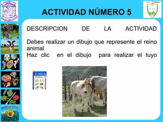 DESCRIPCION DE LA ACTIVIDAD Debes realizar un dibujo que represente el reino animal  Haz clic  en el dibujo  para realizar el tuyo ACTIVIDAD NÚMERO 5 