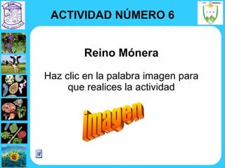 Reino Mónera Haz clic en la palabra imagen para que realices la actividad imagen ACTIVIDAD NÚMERO 6 
