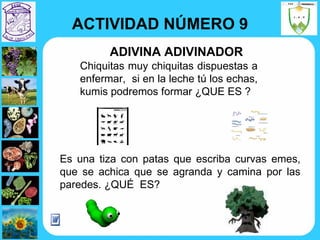 Chiquitas muy chiquitas dispuestas a enfermar,  si en la leche tú los echas, kumis podremos formar ¿QUE ES ? Es una tiza con patas que escriba curvas emes, que se achica que se agranda y camina por las paredes. ¿QUÉ  ES? ADIVINA ADIVINADOR ACTIVIDAD NÚMERO 9 
