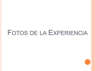 Fotos de la Experiencia