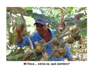 Finca la Esperanz: experiencia de Hernán Guarín 