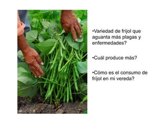 Finca la Esperanz: experiencia de Hernán Guarín 