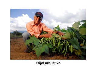 Finca la Esperanz: experiencia de Hernán Guarín 