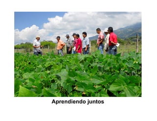 Finca la Esperanz: experiencia de Hernán Guarín 