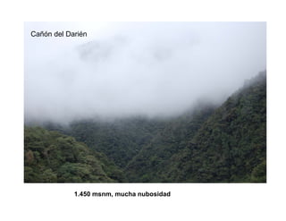 Finca la Esperanz: experiencia de Hernán Guarín 