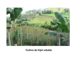 Finca la Esperanz: experiencia de Hernán Guarín 