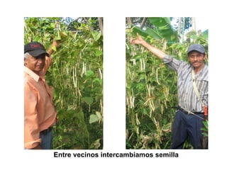 Finca la Esperanz: experiencia de Hernán Guarín 