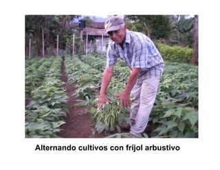 Finca la Esperanz: experiencia de Hernán Guarín 