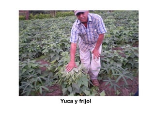 Finca la Esperanz: experiencia de Hernán Guarín 