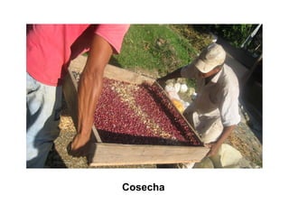 Finca la Esperanz: experiencia de Hernán Guarín 