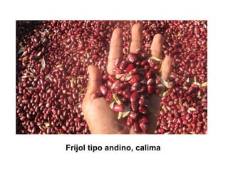 Finca la Esperanz: experiencia de Hernán Guarín 