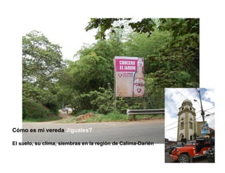 Finca la Esperanz: experiencia de Hernán Guarín 