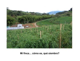 Finca la Esperanz: experiencia de Hernán Guarín 