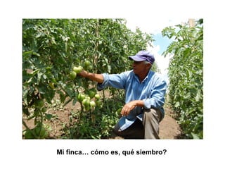 Finca la Esperanz: experiencia de Hernán Guarín 