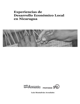Experiencias de
Desarrollo Económico Local
en Nicaragua




        Luis Montalván Avendaño
 