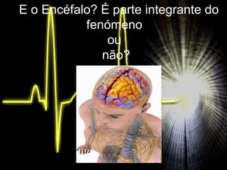 E o Encéfalo? É parte integrante do fenómeno  ou  não? E  E o Encéfalo? É parte integrante do fenómeno  ou  não? 