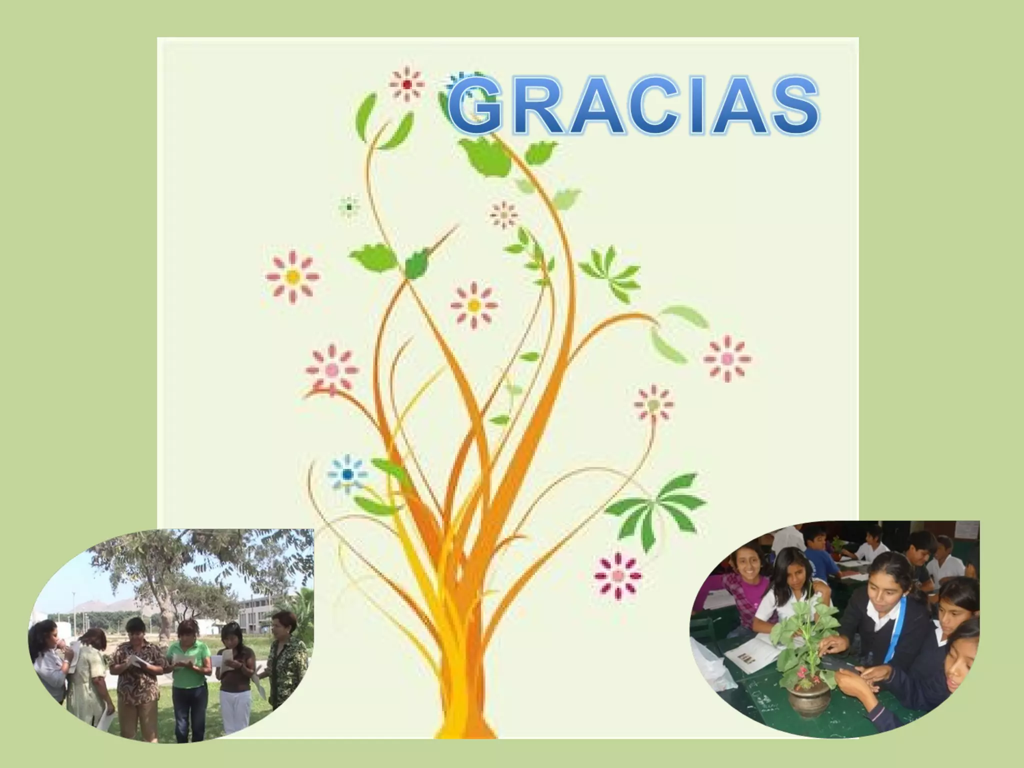 Experiencia exitosa unalm