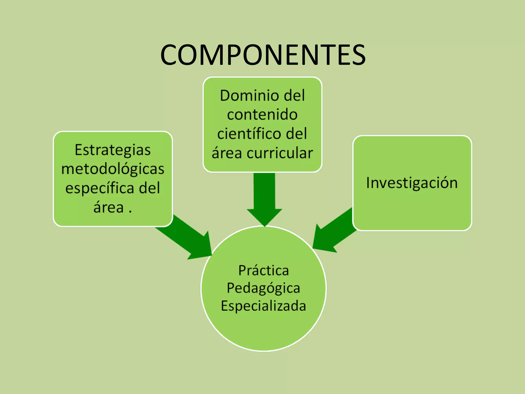 COMPONENTES
 