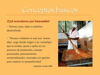 Experiencia Gestores de Innovación en Agroindustria Rural (GIAR) en el Cauca, Colombia