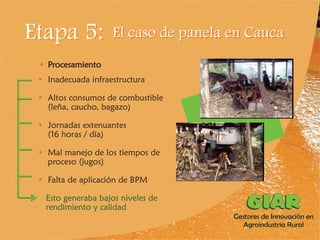 Experiencia Gestores de Innovación en Agroindustria Rural (GIAR) en el Cauca, Colombia