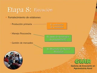 Experiencia Gestores de Innovación en Agroindustria Rural (GIAR) en el Cauca, Colombia