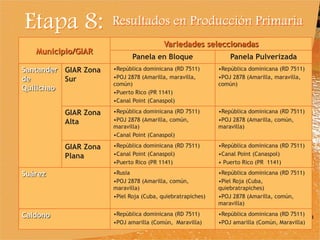 Experiencia Gestores de Innovación en Agroindustria Rural (GIAR) en el Cauca, Colombia