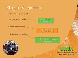 Experiencia Gestores de Innovación en Agroindustria Rural (GIAR) en el Cauca, Colombia