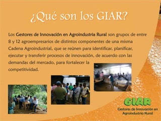 Experiencia Gestores de Innovación en Agroindustria Rural (GIAR) en el Cauca, Colombia