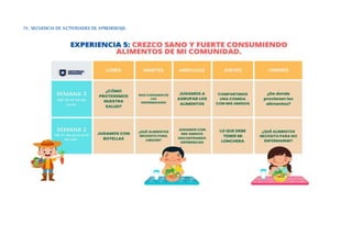 IV. SECUENCIA DE ACTIVIDADES DE APRENDIZAJE:
 