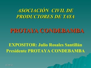 ASOCIACIÓN  CIVIL DE PRODUCTORES DE TAYA PROTAYA CONDEBAMBA EXPOSITOR: Julio Rosales Santillán Presidente PROTAYA CONDEBAMBA 