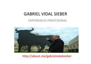 GABRIEL VIDAL SIEBER
EXPERIENCIA PROFESIONAL
http://about.me/gabrielvidalsieber 1
 