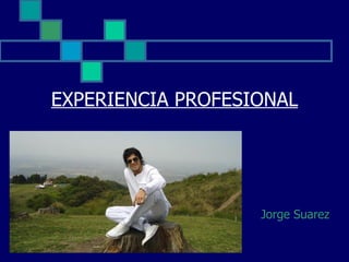 EXPERIENCIA PROFESIONAL




                   Jorge Suarez
 