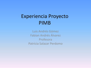 Experiencia Proyecto
       PIMB
      Luis Andrés Gómez
    Fabian Andrés Álvarez
           Profesora
   Patricia Salazar Perdomo
 