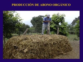 PRODUCCIÓN DE ABONO ORGÁNICO
 