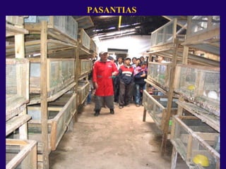 PASANTIAS
 