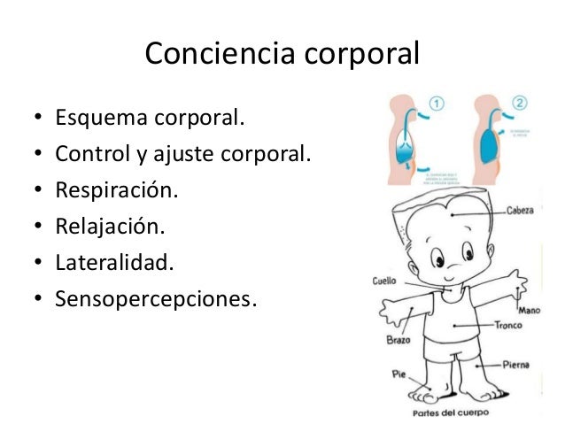 Experiencias De Intervención De La Educación Física