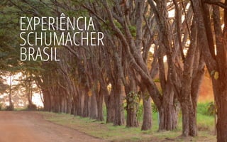 EXPERIÊNCIA 
SCHUMACHER 
BRASIL 
 