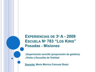 Experiencias de 3º A - 2009Escuela Nº 783 “Los Kiris”Posadas - Misiones ,[object Object]
