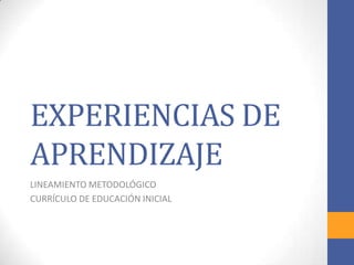 EXPERIENCIAS DE
APRENDIZAJE
LINEAMIENTO METODOLÓGICO
CURRÍCULO DE EDUCACIÓN INICIAL

 