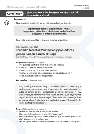 4. Disfrutamos y conservamos nuestra biodiversidad
2
Educación Primaria
4.°
grado
¡Empecemos!
 El desarrollo de la actividad me permitirá lograr la siguiente meta:
 Para iniciar la actividad, leo el siguiente titular de una noticia:
 Respondo las siguientes preguntas:
— ¿Por qué creo que habrá ocurrido el incendio forestal?
— ¿Cómo esta situación afecta al ambiente?
— ¿Conozco una situación similar en mi localidad?
— ¿Cuál fue la actitud de los pobladores de mi localidad ante ello?
— ¿Cómo esa situación afectó a la población?
 Leo y analizo el siguiente caso:
 Respondo las siguientes preguntas:
— ¿Sobre qué conversaron Mateo, Isabel y Juan?
— ¿Con cuál de las opiniones te identificas?, ¿por qué?
— Mateo afirmó lo siguiente: “Tienes razón, leí que las plantas purifican el
aire”. Al respecto, ¿tú qué piensas?
— ¿En los lugares donde vivimos hay espacios para las plantas?, ¿por qué?
Explicar cómo las acciones cotidianas que realizan
las personas con las plantas y los bosques pueden beneficiar
o perjudicar la armonía con el ambiente.
- 8 de noviembre de 2020
- Incendio forestal: bomberos y pobladores
juntos luchan contra el fuego
- Lamentable muerte de especies que habitan el bosque
- Juan, Isabel y Mateo son amigos del barrio Esperanza. Siempre que
pueden se comunican para compartir ideas o acontecimientos importantes.
- Mateo se enteró de que remodelarían el parque del barrio y, muy
entusiasmado, les comentó la noticia a Juan e Isabel. “¡Que haya muchos
juegos!”, exclamó Isabel llena de alegría. “Sería bueno que pusieran jardines
con muchas plantas”, dijo Juan, a lo que Mateo agregó: “Tienes razón, leí
que las plantas purifican el aire”.
ACTIVIDAD 1
¿Las plantas y los bosques cumplen un rol
en nuestras vidas?
 