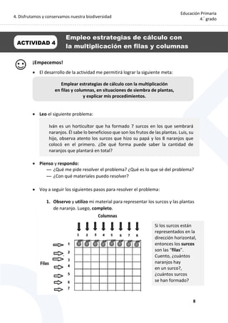4. Disfrutamos y conservamos nuestra biodiversidad
8
Educación Primaria
4.°
grado
¡Empecemos!
 El desarrollo de la actividad me permitirá lograr la siguiente meta:
 Leo el siguiente problema:
Iván es un horticultor que ha formado 7 surcos en los que sembrará
naranjos. Él sabe lo beneficioso que son los frutos de las plantas. Luis, su
hijo, observa atento los surcos que hizo su papá y los 8 naranjos que
colocó en el primero. ¿De qué forma puede saber la cantidad de
naranjos que plantará en total?
 Pienso y respondo:
— ¿Qué me pide resolver el problema? ¿Qué es lo que sé del problema?
— ¿Con qué materiales puedo resolver?
 Voy a seguir los siguientes pasos para resolver el problema:
1. Observo y utilizo mi material para representar los surcos y las plantas
de naranjo. Luego, completo.
ACTIVIDAD 4
Empleo estrategias de cálculo con
la multiplicación en filas y columnas
Emplear estrategias de cálculo con la multiplicación
en filas y columnas, en situaciones de siembra de plantas,
y explicar mis procedimientos.
Si los surcos están
representados en la
dirección horizontal,
entonces los surcos
son las “filas”.
Cuento, ¿cuántos
naranjos hay
en un surco?,
¿cuántos surcos
se han formado?
 
