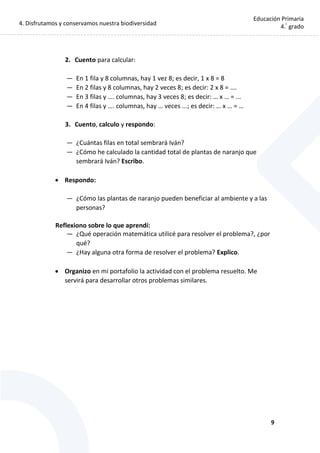 4. Disfrutamos y conservamos nuestra biodiversidad
9
Educación Primaria
4.°
grado
2. Cuento para calcular:
— En 1 fila y 8 columnas, hay 1 vez 8; es decir, 1 x 8 = 8
— En 2 filas y 8 columnas, hay 2 veces 8; es decir: 2 x 8 = ….
— En 3 filas y …. columnas, hay 3 veces 8; es decir: … x … = ...
— En 4 filas y …. columnas, hay … veces ...; es decir: … x … = …
3. Cuento, calculo y respondo:
— ¿Cuántas filas en total sembrará Iván?
— ¿Cómo he calculado la cantidad total de plantas de naranjo que
sembrará Iván? Escribo.
 Respondo:
— ¿Cómo las plantas de naranjo pueden beneficiar al ambiente y a las
personas?
Reflexiono sobre lo que aprendí:
— ¿Qué operación matemática utilicé para resolver el problema?, ¿por
qué?
— ¿Hay alguna otra forma de resolver el problema? Explico.
 Organizo en mi portafolio la actividad con el problema resuelto. Me
servirá para desarrollar otros problemas similares.
 