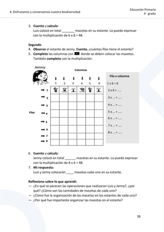 4. Disfrutamos y conservamos nuestra biodiversidad
11
Educación Primaria
4.°
grado
3. Cuento y calculo:
Luis colocó en total _______ macetas en su estante. Lo puedo expresar
con la multiplicación de 6 x 8 = 48.
Segundo
4. Observo el estante de Jenny. Cuento, ¿cuántas filas tiene el estante?
5. Completo las columnas con donde se deben colocar las macetas.
También completo con la multiplicación.
6. Cuento y calculo:
Jenny colocó en total ______ macetas en su estante. Lo puedo expresar
con la multiplicación de 8 x 6 = 48.
7. Mi respuesta:
Luis y Jenny colocarán ____ macetas cada uno en su estante.
Reflexiono sobre lo que aprendí:
— ¿En qué se parecen las operaciones que realizaron Luis y Jenny?, ¿por
qué? ¿Cómo son las cantidades de macetas de cada uno?
— ¿Cómo fue la organización de las macetas en los estantes de cada uno?
— ¿Por qué fue importante organizar las macetas en el estante?
Fila x columna
1 x 6 = 6
2 x 6 = …..
3 x … = …..
4 x … = …..
5 x … = …..
6 x … = …..
7 x … = …..
8 x … = …..
 