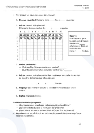 4. Disfrutamos y conservamos nuestra biodiversidad
15
Educación Primaria
4.°
grado
 Voy a seguir los siguientes pasos para resolver:
1. Observo y cuento. El herbario tiene _____ filas y _____ columnas.
2. Calculo con una multiplicación:
El herbario tiene un total de 9 x _____ = _______ espacios.
3. Cuento y completo:
— ¿Cuántas filas faltan completar con hierbas? _______
— ¿Cuántas columnas faltan completar con hierbas? ________
4. Calculo con una multiplicación de filas y columnas para hallar la cantidad
de muestras de hierbas que faltan colocar:
........... x .......... = ............... hierbas
5. Propongo otra forma de calcular la cantidad de muestras que faltan
colocar.
6. Explico mi procedimiento.
Reflexiono sobre lo que aprendí:
— ¿Qué operaciones he aplicado en la resolución del problema?
— ¿Qué dificultades tuve en la resolución del problema?
— ¿Qué utilidad encuentro en la multiplicación por filas y columnas?
 Organizo en mi portafolio mis anotaciones del procedimiento que seguí para
resolver el problema.
Observo.
En el herbario, ya se
han colocado 2 filas de
hierbas con _____
columnas; es decir, se
han colocado
2 x 12 = _____ hierbas.
 